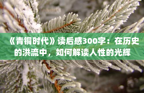 《青铜时代》读后感300字：在历史的洪流中，如何解读人性的光辉