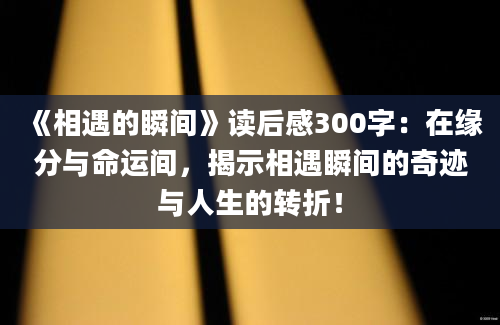 《相遇的瞬间》读后感300字：在缘分与命运间，揭示相遇瞬间的奇迹与人生的转折！