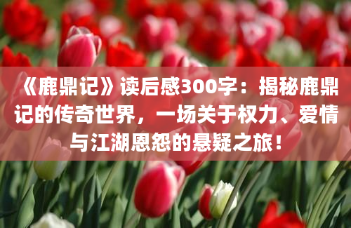 《鹿鼎记》读后感300字：揭秘鹿鼎记的传奇世界，一场关于权力、爱情与江湖恩怨的悬疑之旅！