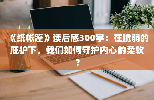 《纸帐篷》读后感300字：在脆弱的庇护下，我们如何守护内心的柔软？