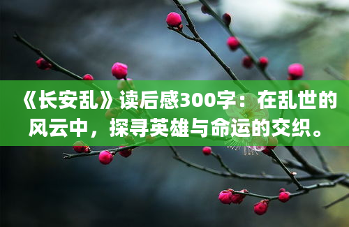 《长安乱》读后感300字：在乱世的风云中，探寻英雄与命运的交织。