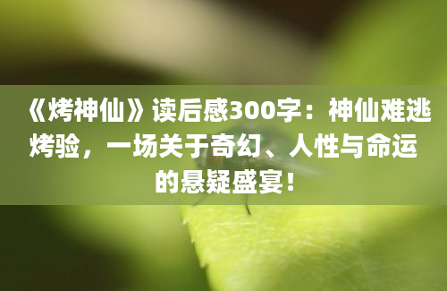 《烤神仙》读后感300字：神仙难逃烤验，一场关于奇幻、人性与命运的悬疑盛宴！