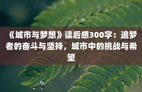 《城市与梦想》读后感300字：追梦者的奋斗与坚持，城市中的挑战与希望