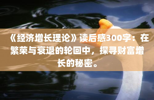 《经济增长理论》读后感300字：在繁荣与衰退的轮回中，探寻财富增长的秘密。