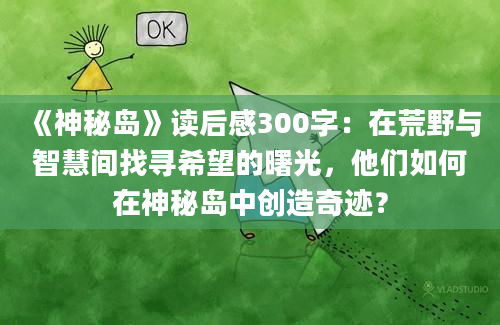 《神秘岛》读后感300字：在荒野与智慧间找寻希望的曙光，他们如何在神秘岛中创造奇迹？