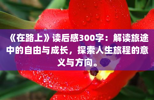 《在路上》读后感300字：解读旅途中的自由与成长，探索人生旅程的意义与方向。