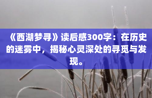 《西湖梦寻》读后感300字：在历史的迷雾中，揭秘心灵深处的寻觅与发现。