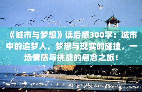 《城市与梦想》读后感300字：城市中的追梦人，梦想与现实的碰撞，一场情感与挑战的悬念之旅！