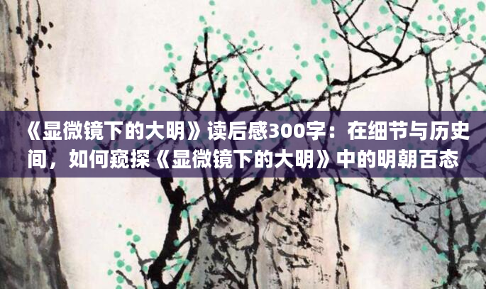 《显微镜下的大明》读后感300字：在细节与历史间，如何窥探《显微镜下的大明》中的明朝百态