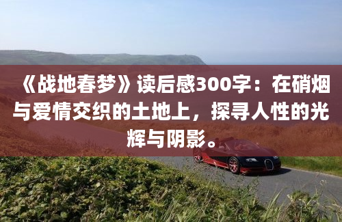 《战地春梦》读后感300字：在硝烟与爱情交织的土地上，探寻人性的光辉与阴影。