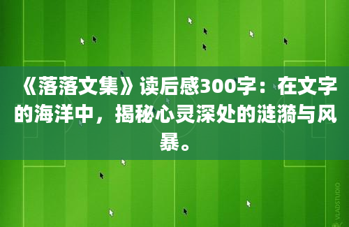 《落落文集》读后感300字：在文字的海洋中，揭秘心灵深处的涟漪与风暴。