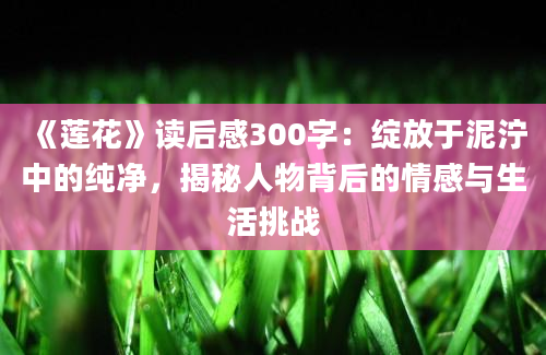 《莲花》读后感300字：绽放于泥泞中的纯净，揭秘人物背后的情感与生活挑战