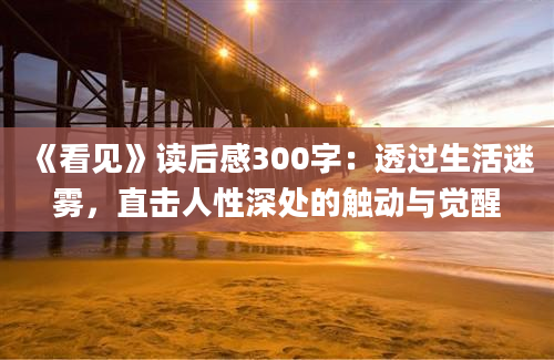 《看见》读后感300字：透过生活迷雾，直击人性深处的触动与觉醒