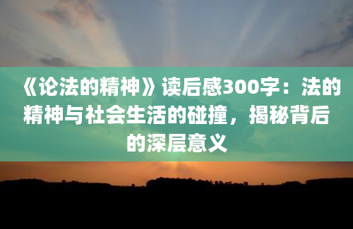 《论法的精神》读后感300字：法的精神与社会生活的碰撞，揭秘背后的深层意义