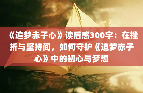 《追梦赤子心》读后感300字：在挫折与坚持间，如何守护《追梦赤子心》中的初心与梦想