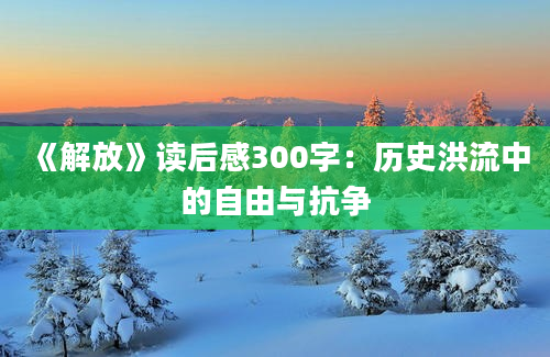 《解放》读后感300字：历史洪流中的自由与抗争