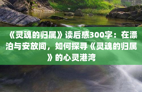 《灵魂的归属》读后感300字：在漂泊与安放间，如何探寻《灵魂的归属》的心灵港湾