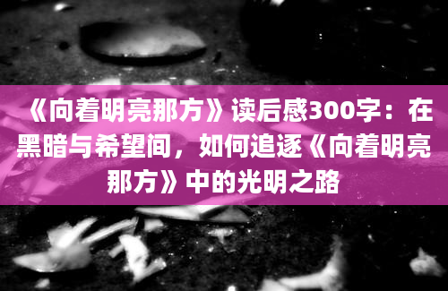 《向着明亮那方》读后感300字：在黑暗与希望间，如何追逐《向着明亮那方》中的光明之路