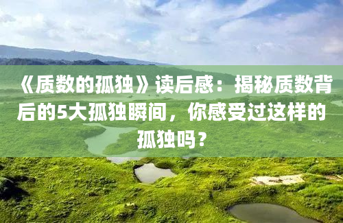 《质数的孤独》读后感：揭秘质数背后的5大孤独瞬间，你感受过这样的孤独吗？