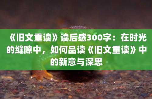 《旧文重读》读后感300字：在时光的缝隙中，如何品读《旧文重读》中的新意与深思