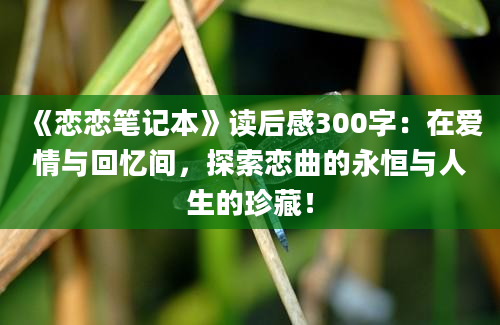 《恋恋笔记本》读后感300字：在爱情与回忆间，探索恋曲的永恒与人生的珍藏！