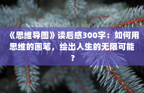 《思维导图》读后感300字：如何用思维的画笔，绘出人生的无限可能？