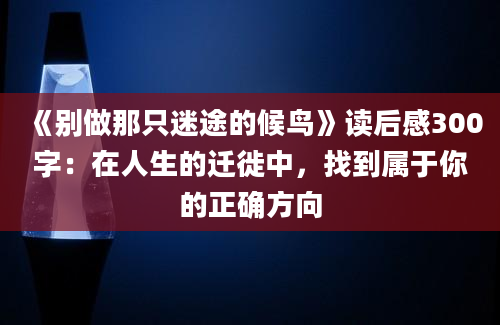 《别做那只迷途的候鸟》读后感300字：在人生的迁徙中，找到属于你的正确方向