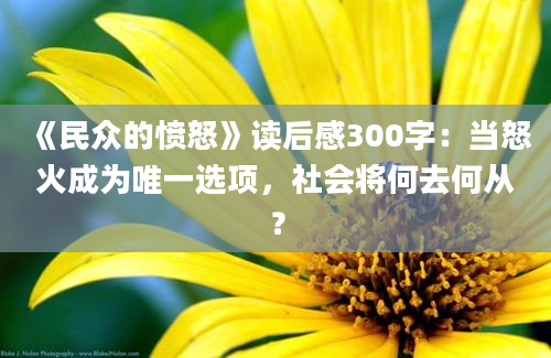 《民众的愤怒》读后感300字：当怒火成为唯一选项，社会将何去何从？