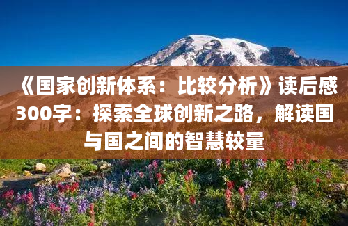 《国家创新体系：比较分析》读后感300字：探索全球创新之路，解读国与国之间的智慧较量