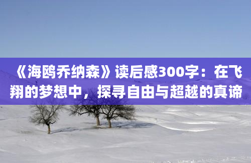 《海鸥乔纳森》读后感300字：在飞翔的梦想中，探寻自由与超越的真谛