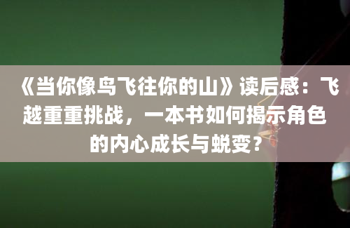 《当你像鸟飞往你的山》读后感：飞越重重挑战，一本书如何揭示角色的内心成长与蜕变？