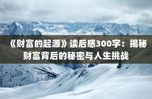 《财富的起源》读后感300字：揭秘财富背后的秘密与人生挑战