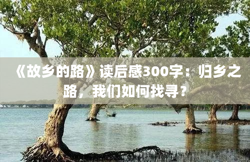 《故乡的路》读后感300字：归乡之路，我们如何找寻？