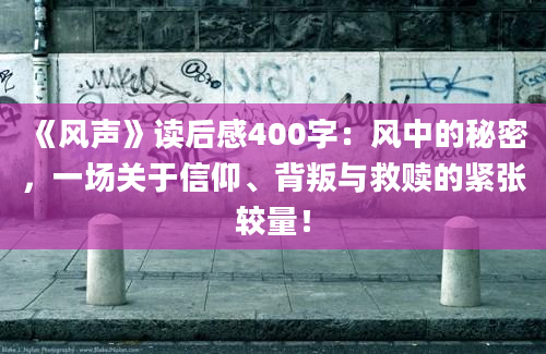 《风声》读后感400字：风中的秘密，一场关于信仰、背叛与救赎的紧张较量！