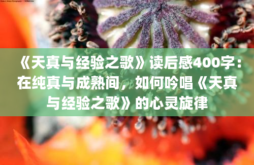 《天真与经验之歌》读后感400字：在纯真与成熟间，如何吟唱《天真与经验之歌》的心灵旋律