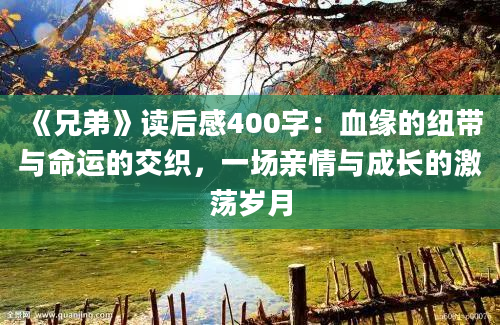 《兄弟》读后感400字：血缘的纽带与命运的交织，一场亲情与成长的激荡岁月