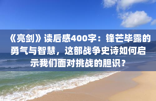 《亮剑》读后感400字：锋芒毕露的勇气与智慧，这部战争史诗如何启示我们面对挑战的胆识？