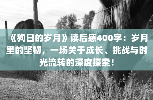 《狗日的岁月》读后感400字：岁月里的坚韧，一场关于成长、挑战与时光流转的深度探索！