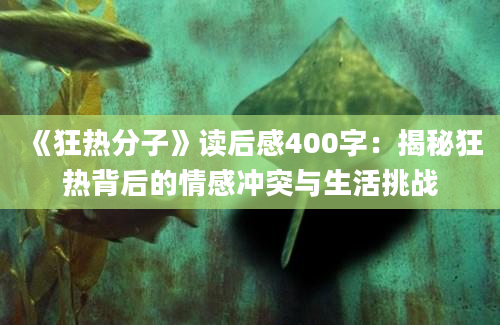 《狂热分子》读后感400字：揭秘狂热背后的情感冲突与生活挑战