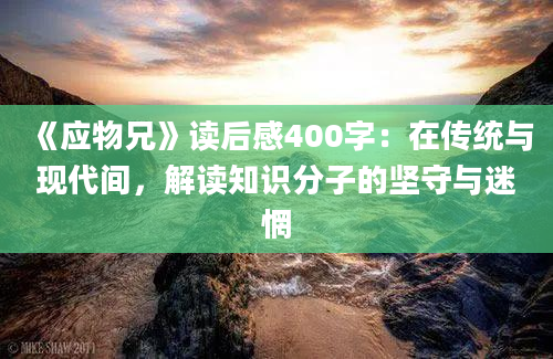 《应物兄》读后感400字：在传统与现代间，解读知识分子的坚守与迷惘