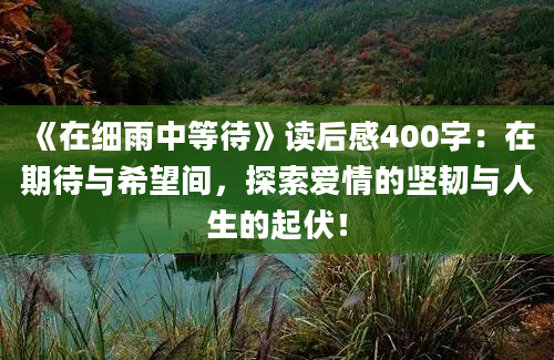 《在细雨中等待》读后感400字：在期待与希望间，探索爱情的坚韧与人生的起伏！