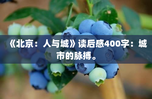 《北京：人与城》读后感400字：城市的脉搏。