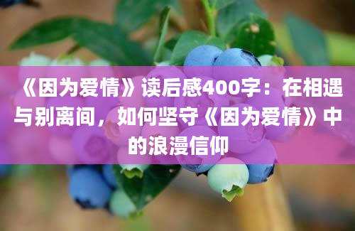 《因为爱情》读后感400字：在相遇与别离间，如何坚守《因为爱情》中的浪漫信仰