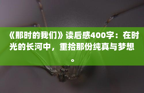 《那时的我们》读后感400字：在时光的长河中，重拾那份纯真与梦想。