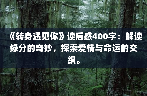 《转身遇见你》读后感400字：解读缘分的奇妙，探索爱情与命运的交织。