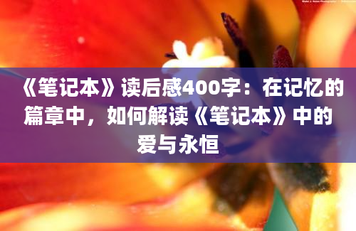 《笔记本》读后感400字：在记忆的篇章中，如何解读《笔记本》中的爱与永恒