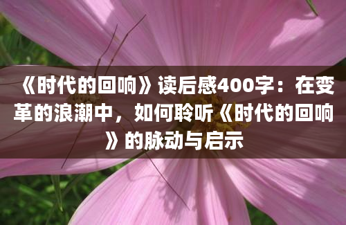 《时代的回响》读后感400字：在变革的浪潮中，如何聆听《时代的回响》的脉动与启示