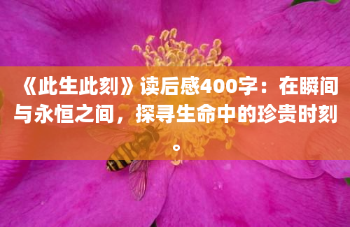 《此生此刻》读后感400字：在瞬间与永恒之间，探寻生命中的珍贵时刻。