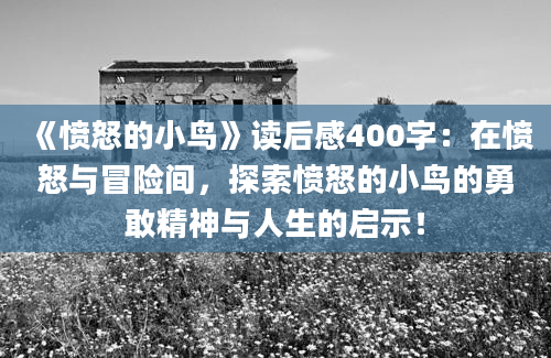 《愤怒的小鸟》读后感400字：在愤怒与冒险间，探索愤怒的小鸟的勇敢精神与人生的启示！