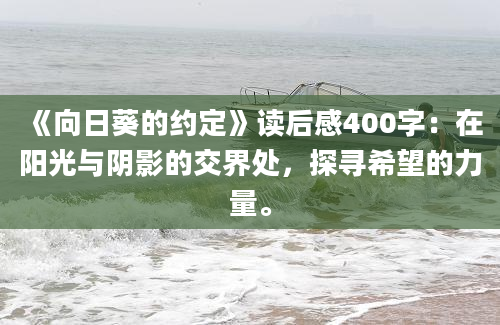 《向日葵的约定》读后感400字：在阳光与阴影的交界处，探寻希望的力量。